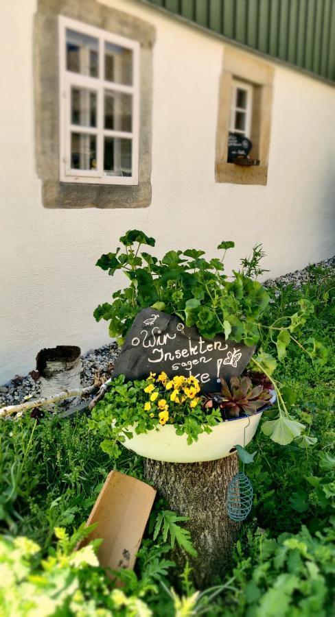 Hotel Neue Hoehe Klingenberg Kültér fotó