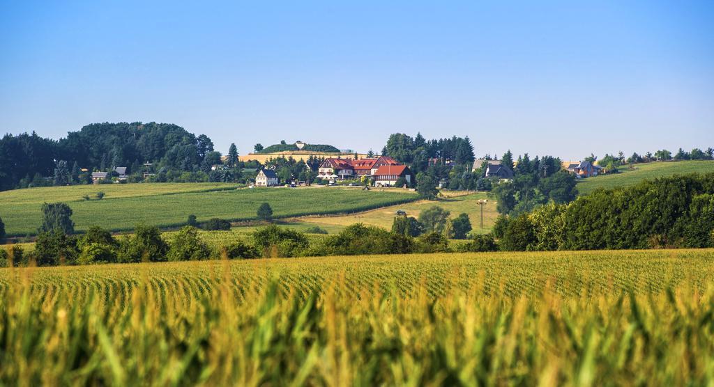 Hotel Neue Hoehe Klingenberg Kültér fotó
