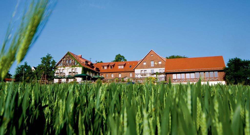 Hotel Neue Hoehe Klingenberg Kültér fotó